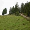 09 b Schluchensteig Etappe 4 - 6